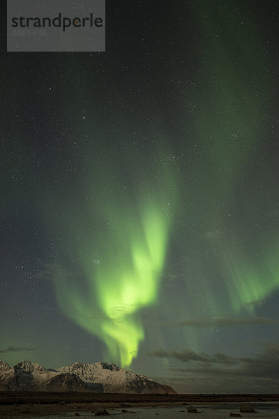 Nordlicht oder Aurora borealis  Gimsoy  Lofoten  Norwegen