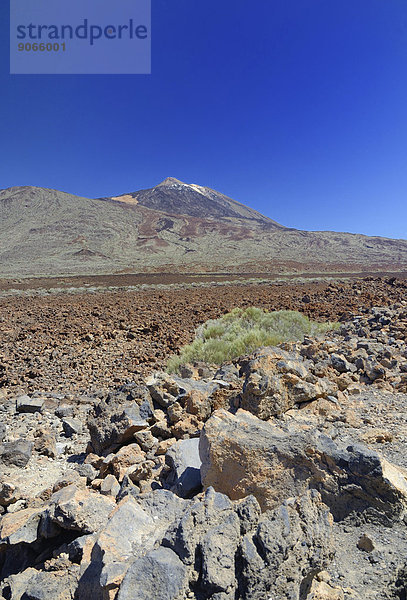 Braune Lavafelder in der Boca de Tauces  hinten Pico del Teide  UNESCO Weltnaturerbe Parque National del Teide y las Canadas  Teneriffa  Kanarische Inseln  Spanien