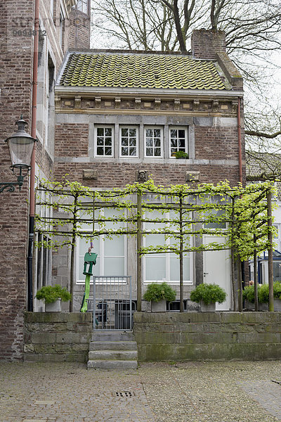 Niederlande  Maastricht  Stadthaus mit Spalier