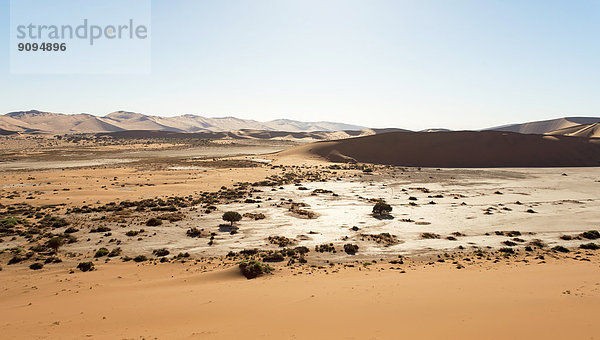 Afrika  Namibia  Sossusvlei  Blick auf Sanddünen und Tote Vlei