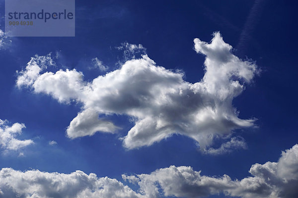 Deutschland  Nordrhein-Westfalen  Wolkenbildung in Form eines Hundes