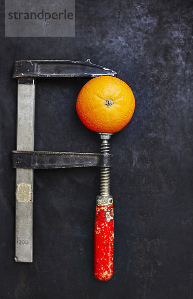 Orange im Schraubstock auf dunklem Grund fixiert