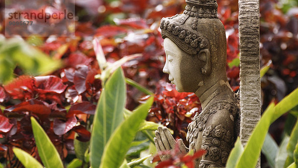 Asien  Thailand  Bangkok  Buddha-Figur im Garten