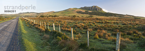 Neuseeland  Chatham Island  Wharekauri Schotterstraße und Hügel im Morgenlicht