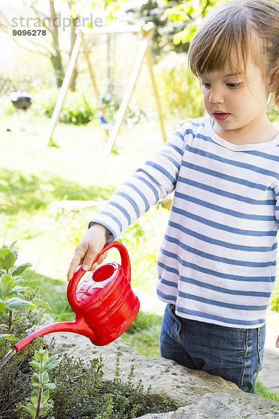 Kleines Mädchen gießt Kräuter im Garten