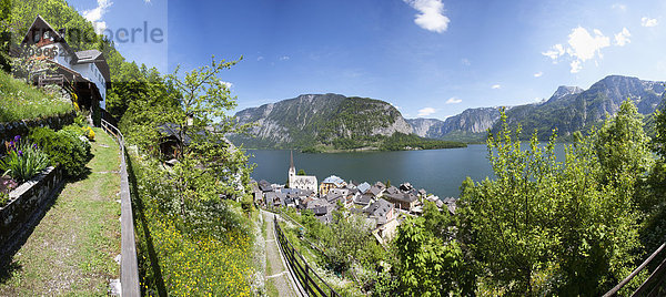 Österreich  Oberösterreich  Salzkammergut  Hallstatt  Hallstätter See