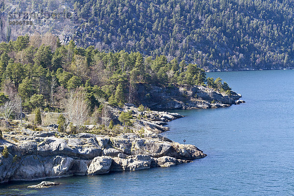 Küstenlinie  Oslo  Norwegen  Europa