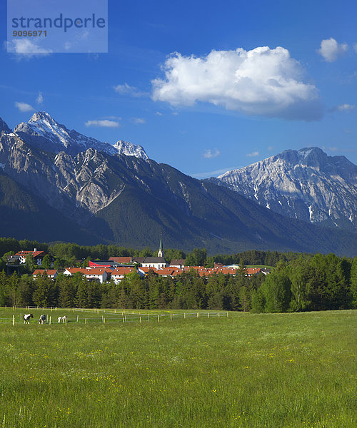 Obsteig  Mieminger Berge  Tirol  Österreich