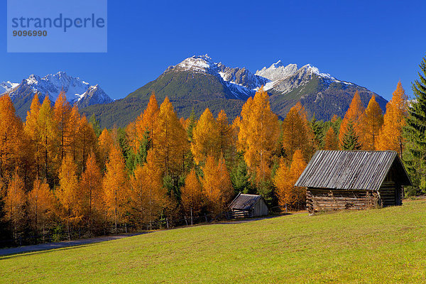 Herbst am Mieminger Plateau  Lechtaler Alpen  Tirol  Österreich