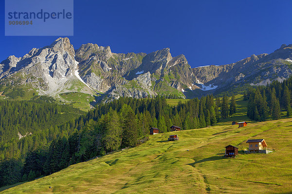 Alm am Arlberg  Tirol  Österreich