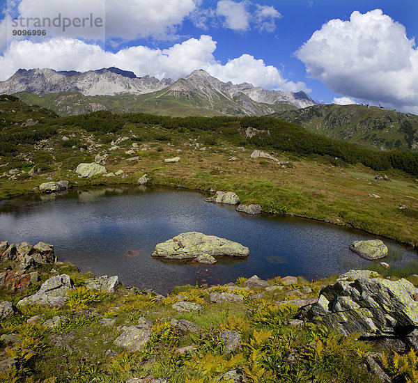 Bergsee in den Lechtaler Alpen  Tirol  Österreich