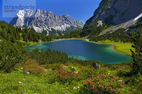 Seebensee mit Zugspitze  Ehrwald  Tirol  Österreich