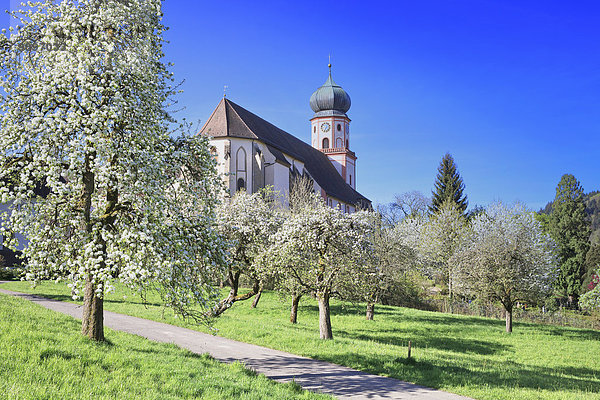 Kloster St. Trudpert  Baden-Württemberg  Deutschland