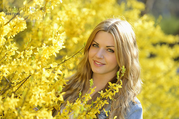 Junge Frau an blühender Forsythie  Portrait