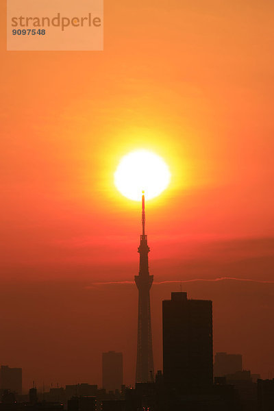 Tokyo  Japan