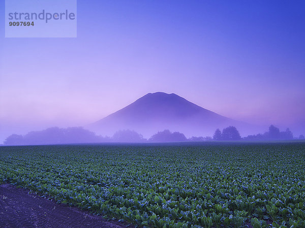 Hokkaido  Japan