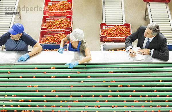 Arbeiter  die Tomaten in einem Lebensmittelverarbeitungsbetrieb verarbeiten