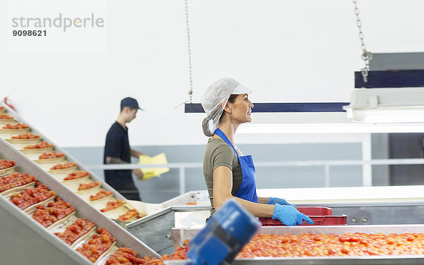 Arbeiter mit Tomatenkiste in einem Lebensmittelverarbeitungsbetrieb