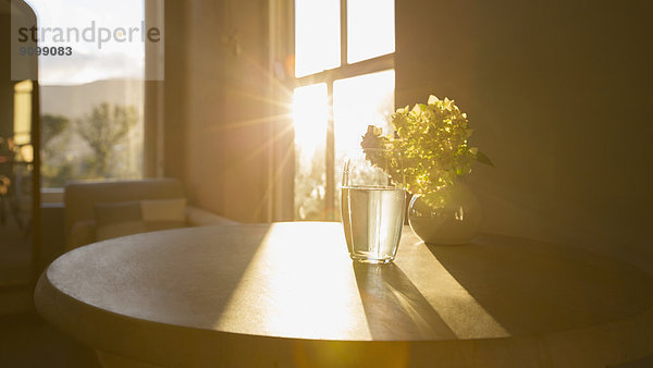 Sonne scheint im Fenster hinter der Blume im Glas