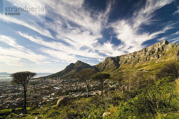 Tafelberg und Devil's Peak  Kapstadt  Provinz Westkap  Südafrika