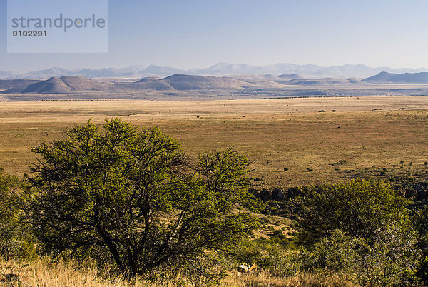 Bankberg-Massiv  Mountain-Zebra-Nationalpark  Provinz Ostkap  Südafrika