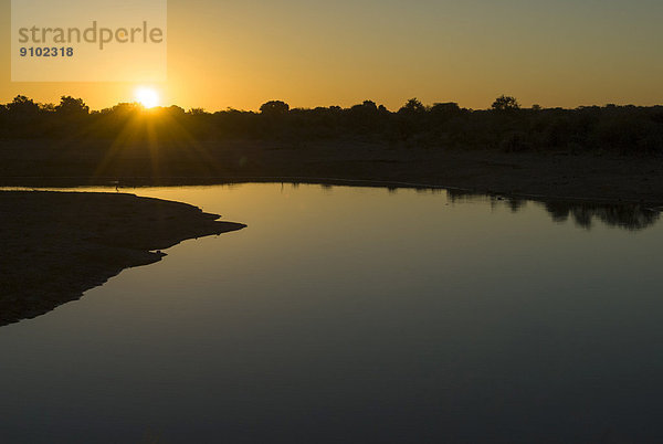 Sonnenuntergang  Fluss  Krüger-Nationalpark  Südafrika