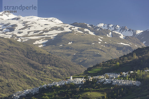 Ausblick zum Ort Pampaneira  hinten die schneebedeckte Sierra Nevada  Pampaneira  Andalusien  Spanien