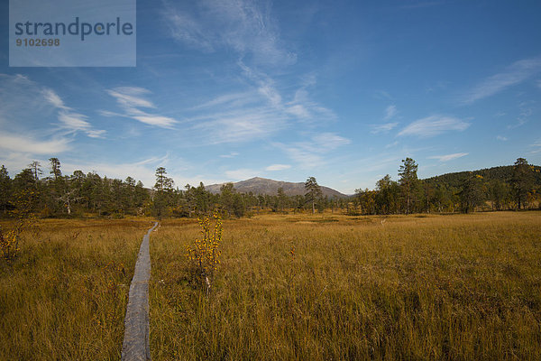 Wanderweg  Ånderdalen-Nationalpark  Senja  Norwegen