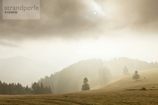 Landschaft im Nebel  Belchen  Schwarzwald  Baden-Württemberg  Deutschland