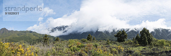 Landschaft  La Palma  Kanarische Inseln  Spanien