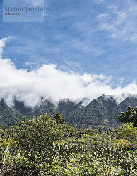 Landschaft  La Palma  Kanarische Inseln  Spanien