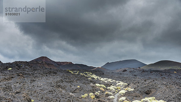 Vulkanlandschaft  Monumento Natural de Los Volcanes de Teneguía Park  Fuencaliente  La Palma  Kanarische Inseln  Spanien