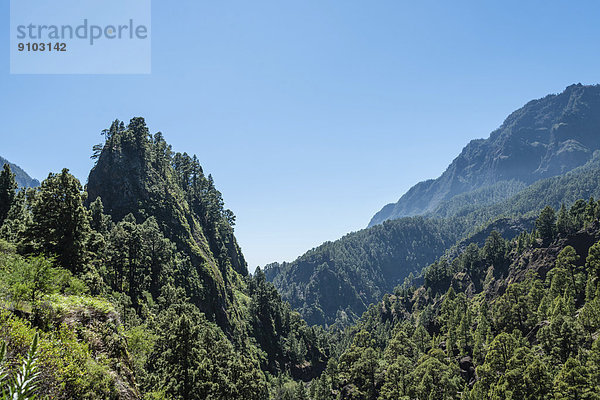 Landschaft im Nationalpark Caldera de Taburiente  La Palma  Kanarische Inseln  Spanien