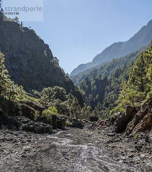 Bach  Nationalpark Caldera de Taburiente  La Palma  Kanarische Inseln  Spanien Caldera de Taburiente Nationalpark