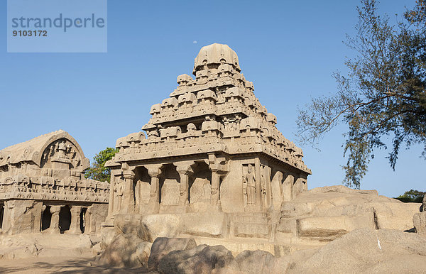 Tempel  Pancha Ratha oder Fünf Rathas  Mamallapuram  Kanchipuram  Tamil Nadu  Indien