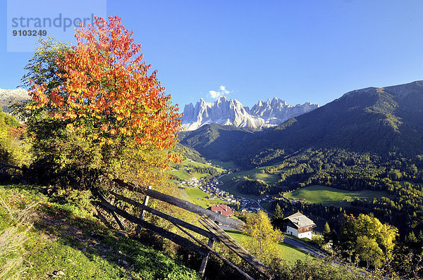 Herbst im Val di Funes mit Geislerspitzen in den Dolomiten  Villnöss  Provinz Bozen  Region Trient  Südtirol  Italien