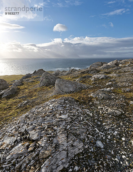 Am Vogelfelsen Alkhornet  Trygghamna  Isfjord  Insel Spitzbergen  Inselgruppe Spitzbergen  Svalbard und Jan Mayen  Norwegen