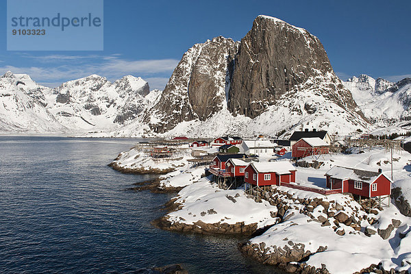 Rorbuer  traditionelle Holzhäuser  Reine  Moskenesøy  Lofoten  Norwegen