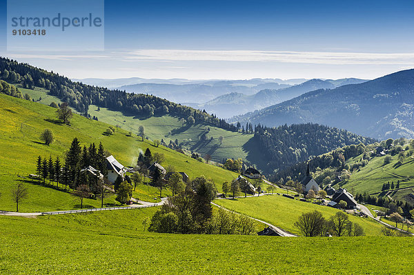 Hofsgrund am Schauinsland  Oberried-Breisgau  Schwarzwald  Baden-Württemberg  Deutschland