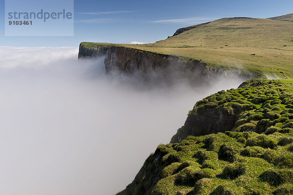 Wolken an der Steilküste  Mykines  Útoyggjar  Färöer-Inseln  Dänemark