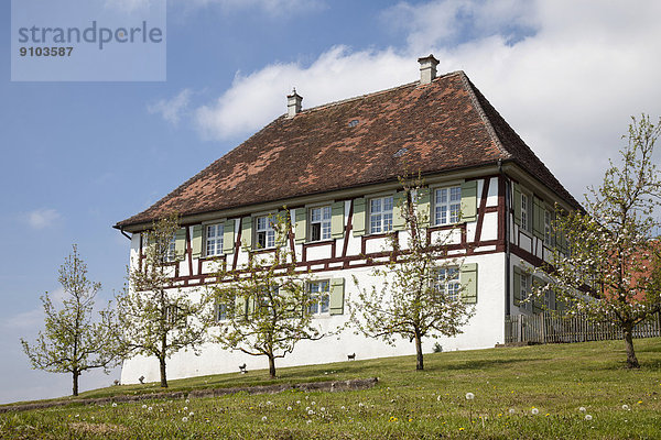 blühen Wohnhaus Baum Frucht frontal Birnau Deutschland Hälfte Baden Württemberg