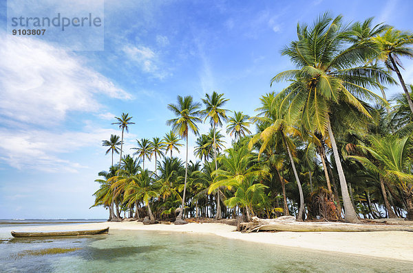 Einbaum  einsamer Strand mit Palmen auf einer tropischen Insel  Cayos Chichime  San-Blas-Inseln  Panama