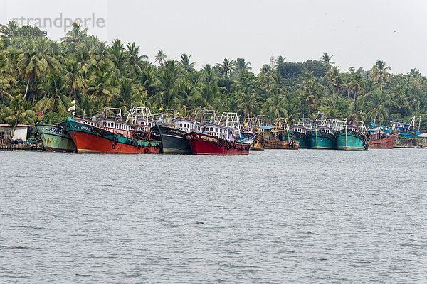 Typische Landschaft mit Palmen und Fischerbooten  Kerala Backwaters  Alappuzha  Kerala  Indien