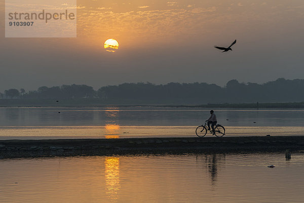 Ein Radfahrer überquert den Yamuna auf einem Damm bei Sonnenaufgang  Vrindavan  Uttar Pradesh  Indien