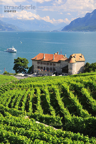 über Tal See Ansicht Weinberg Palast Schloß Schlösser Genf Rhone schweizerisch Schweiz Kanton Waadt