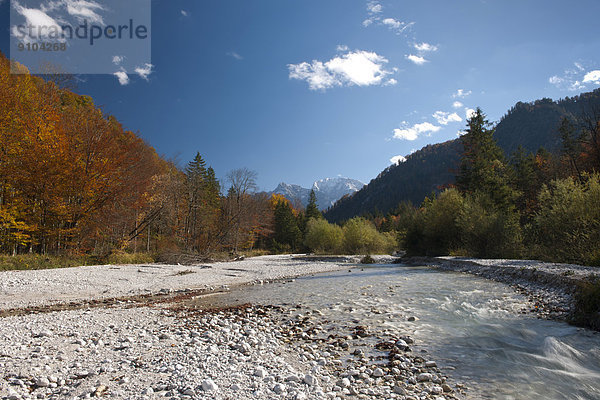 Flusslandschaft im Herbst  Almtal  Alm  Oberösterreich  Österreich