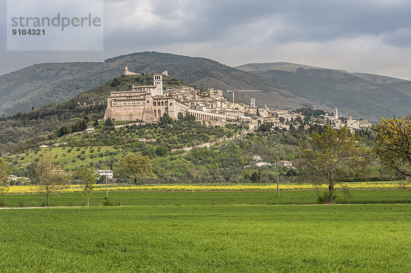 Ländliches Motiv ländliche Motive Stadt Ansicht umgeben Assisi Italien Umbrien