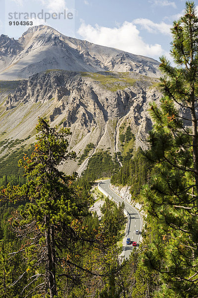 Ofenpassstrasse B 28  hinten der Berg Piz Daint  Schweizerischer Nationalpark  Graubünden  Schweiz