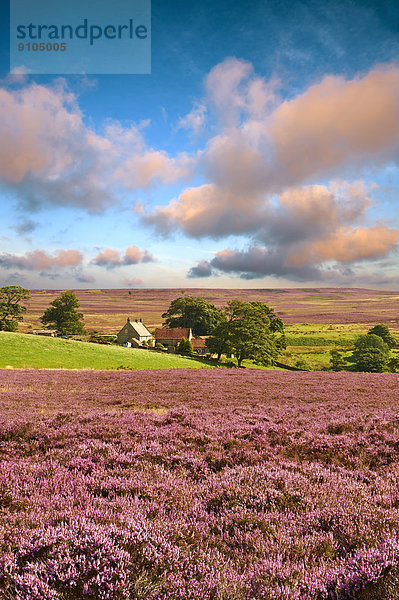 Großbritannien England North Yorkshire