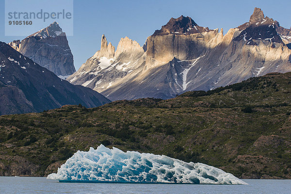 Eisberg am Lago Grey  Nationalpark Torres del Paine  Patagonien  Chile